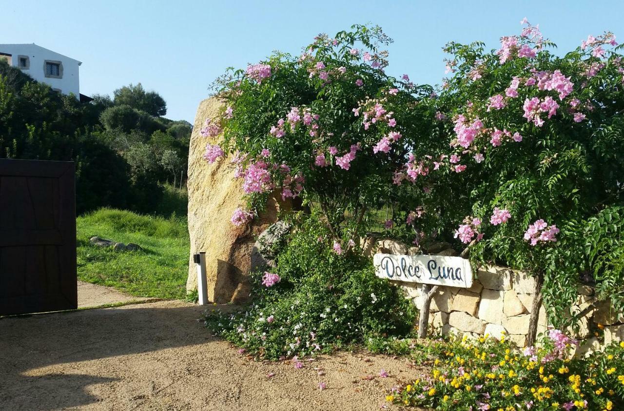 Dolce Luna Bed & Breakfast